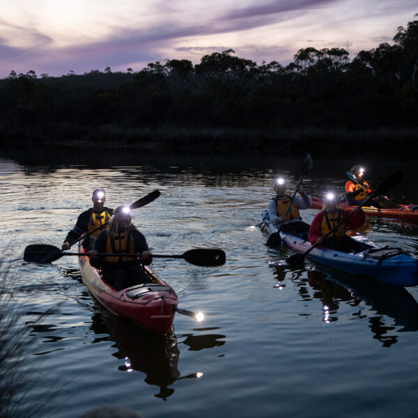 Go Ride A Wave Night Kayaking at Anglesea