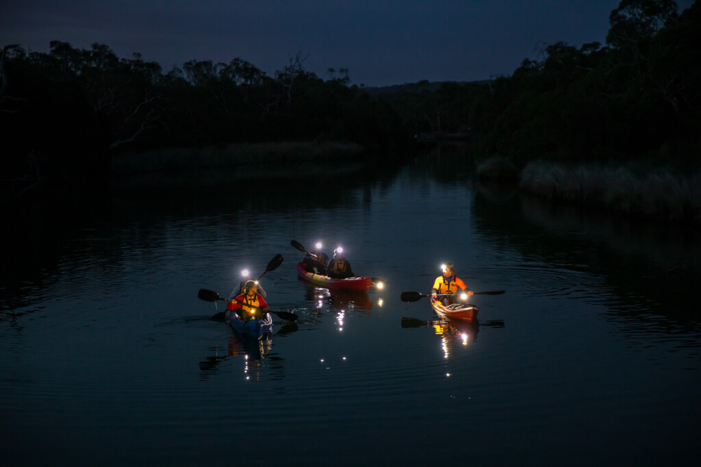 Go Ride A Wave Night Kayaking on the Anglesea River