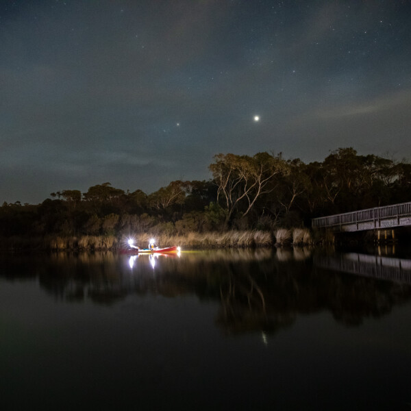 Go Ride A wave Night Kayaking in Anglesea
