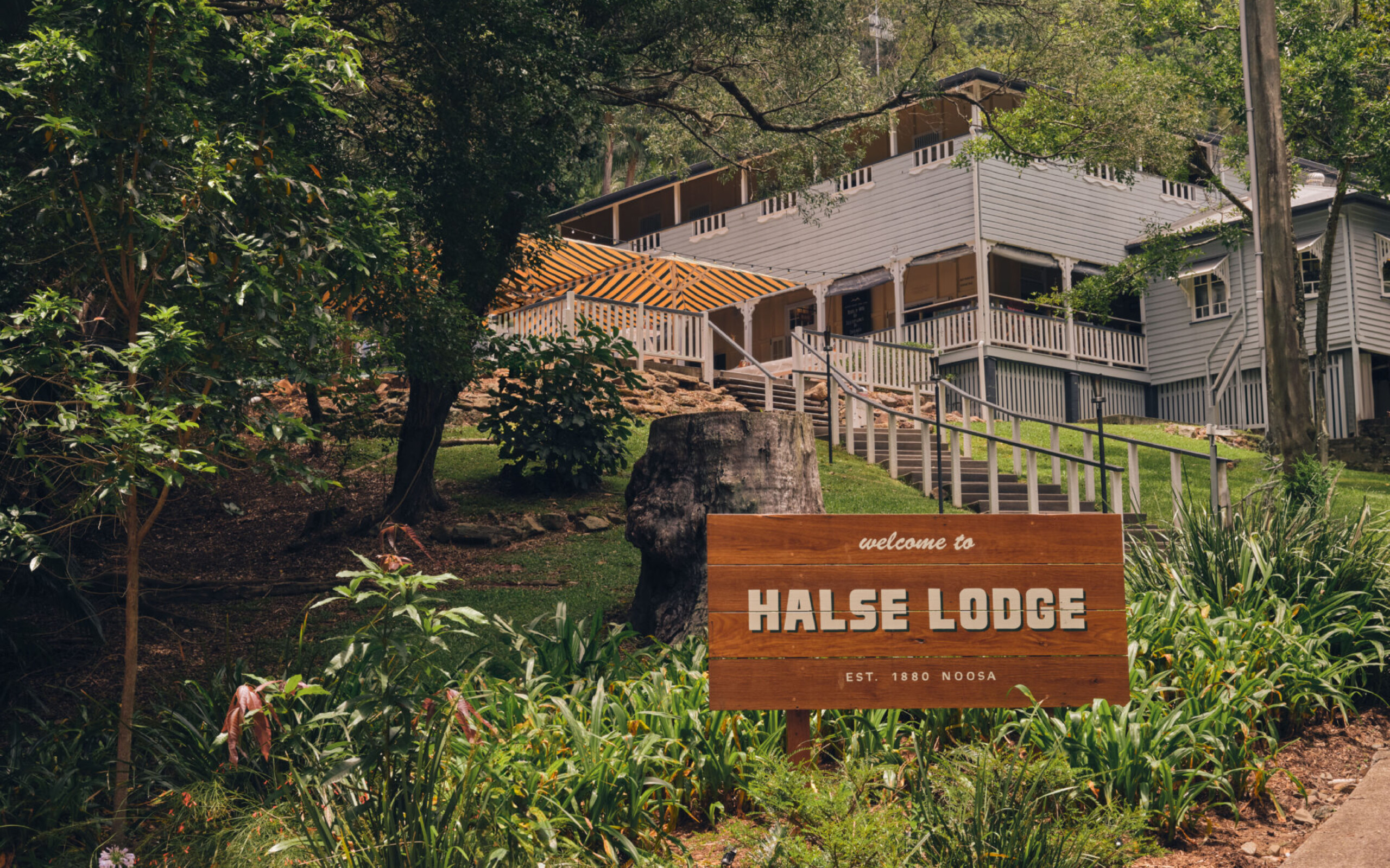Halse Lodge - Noosa Surf Retreat Go Ride A Wave