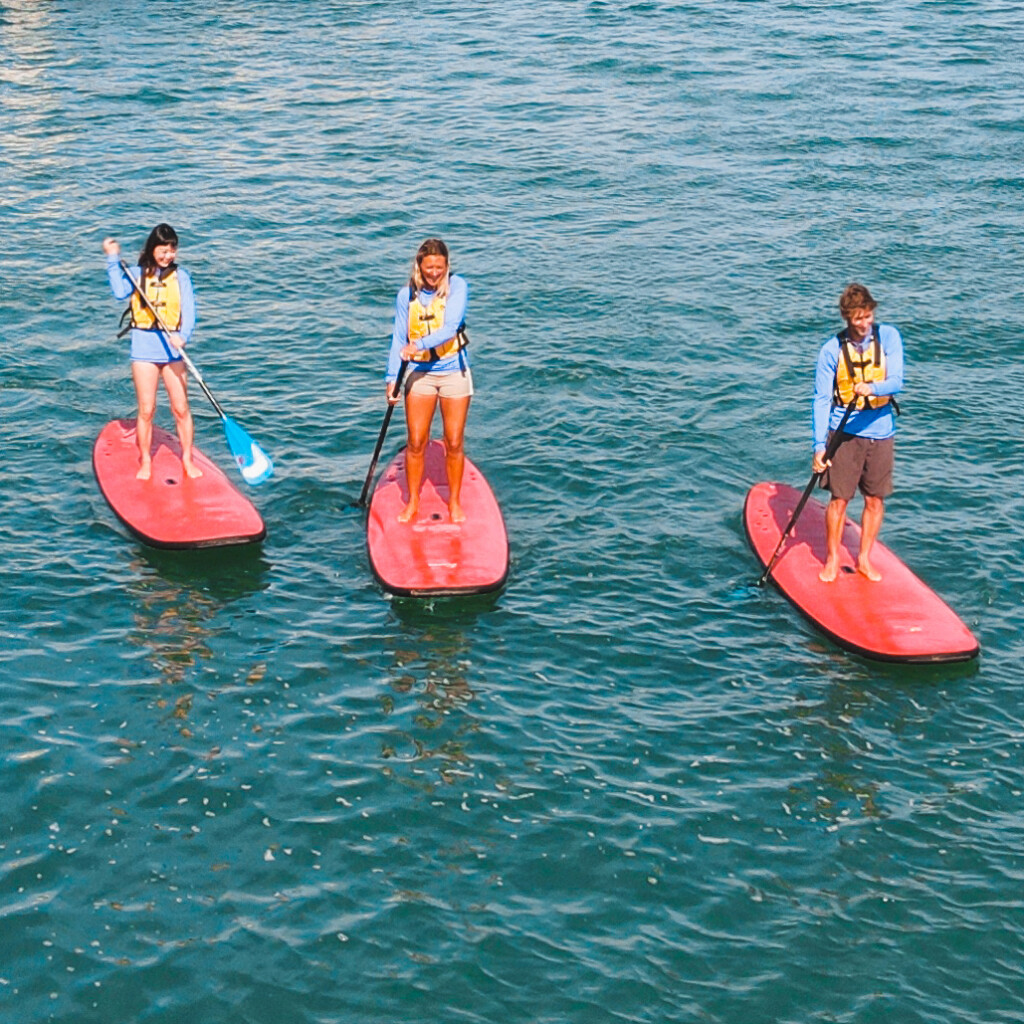 Stand Up Paddleboarding | Geelong Waterfront